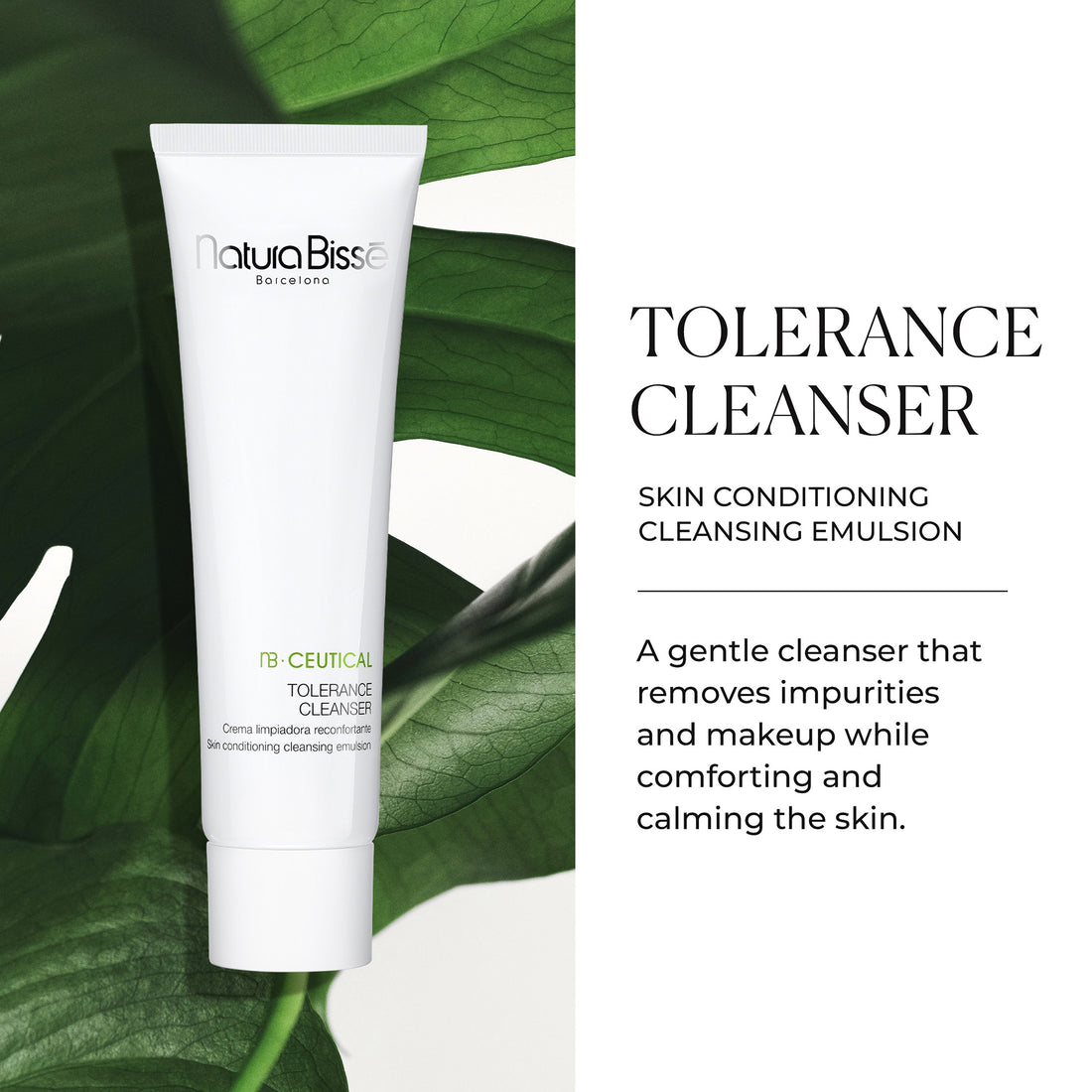 Natura Bissé Tolerance Cleanser (5.3 oz.)