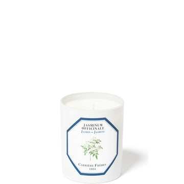 Carrière Frères Scented Candle Jasmine - Jasminum Officinale - 6.5 oz