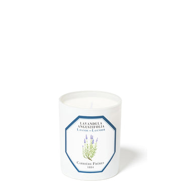 Carrière Frères Scented Candle Lavender - Lavandula Angustifolia - 6.5 oz