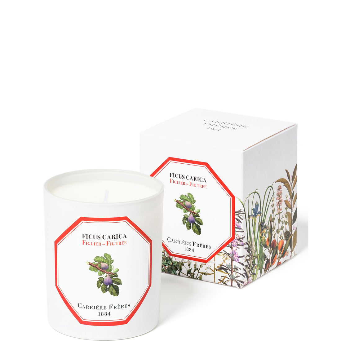 Carrière Frères Scented Candle Fig Tree - Ficus Carica - 6.5 oz