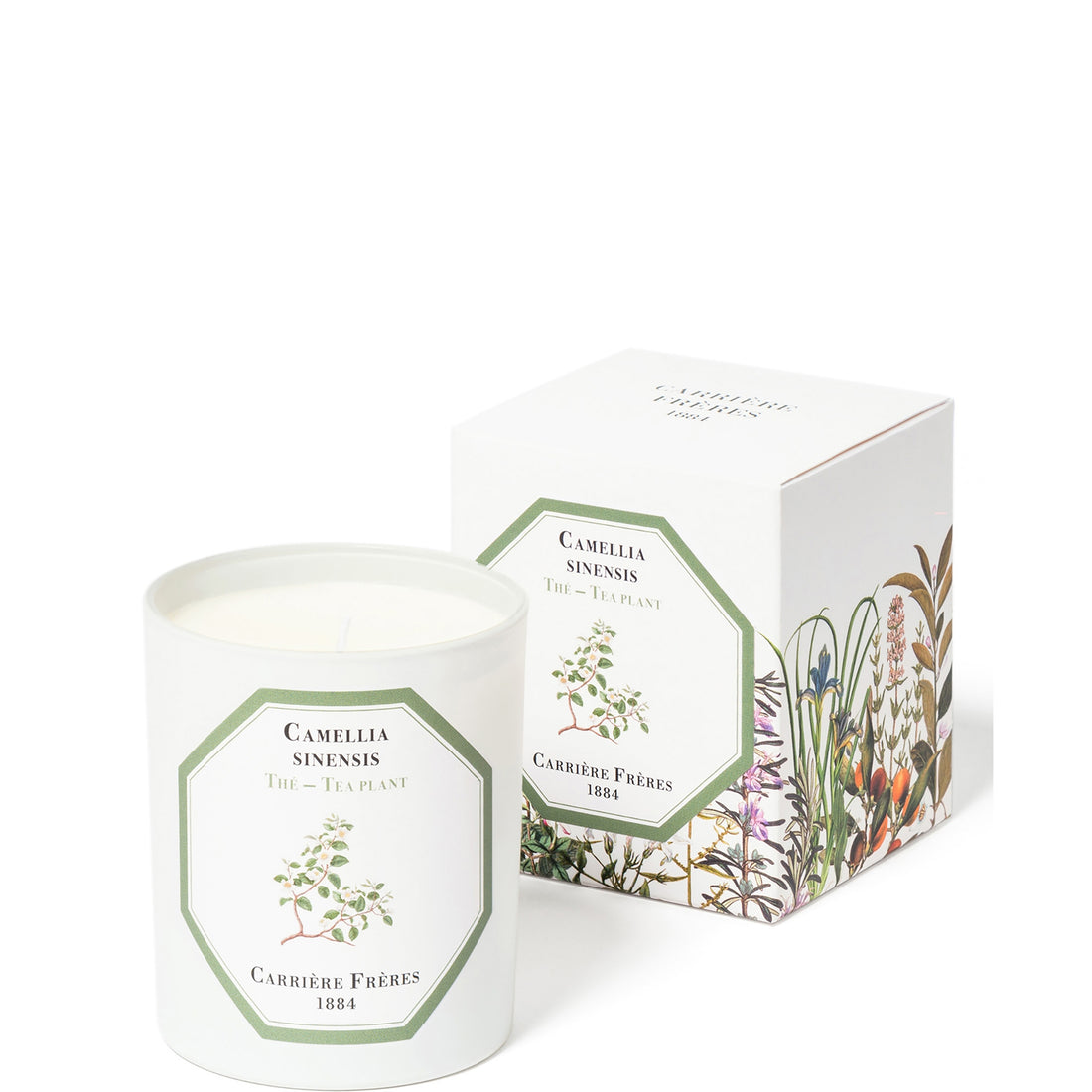 Carrière Frères Scented Candle Tea Plant - Camellia Sinensis - 6.5 oz