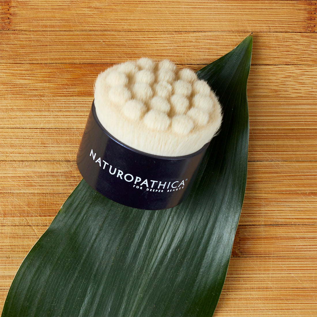 Naturopathica Facial Cleansing Brush (1 count)