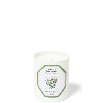 Carrière Frères Aloysia Citrodora - Verbena 6.5 oz