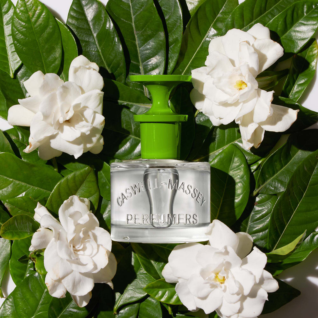 Caswell-Massey Gardenia Eau de Toilette 2 fl. oz