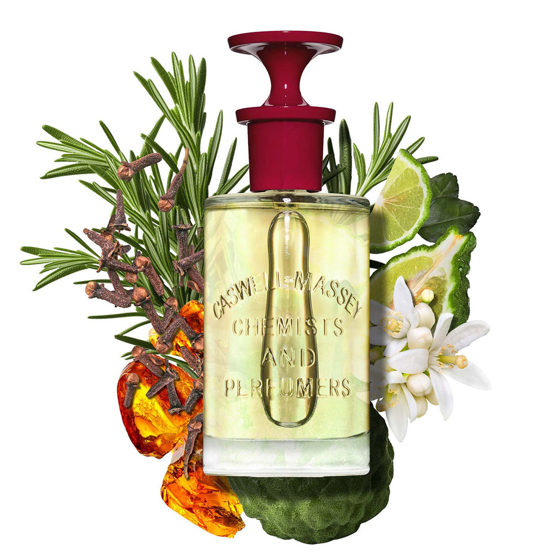 Caswell-Massey Number Six Eau de Parfum 3.3 fl. oz