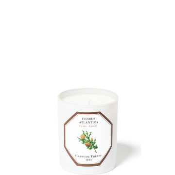 Carrière Frères Scented Candle Cedar - Cedrus Atlantica - 6.5 oz