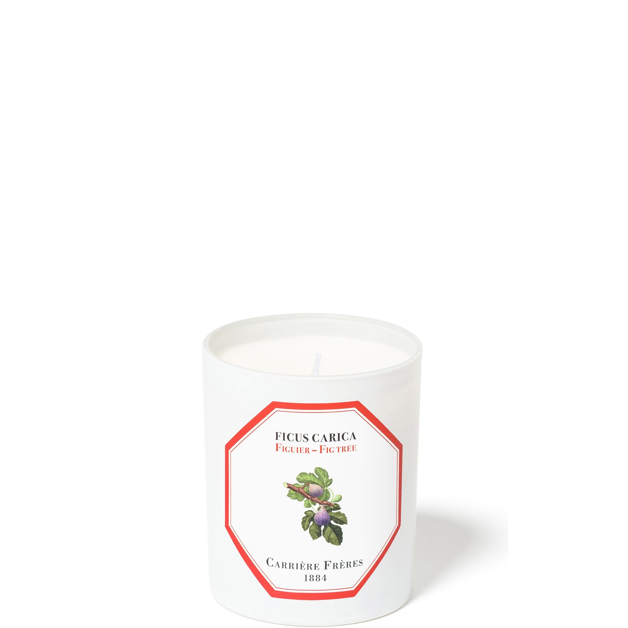 Carrière Frères Scented Candle Fig Tree - Ficus Carica - 6.5 oz