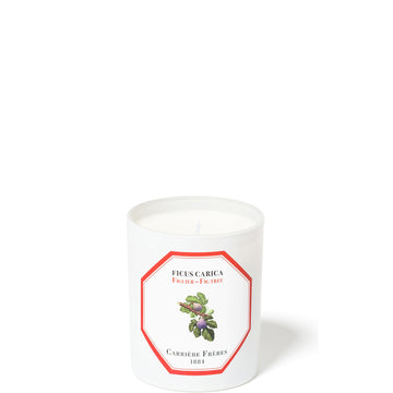 Carrière Frères Scented Candle Fig Tree - Ficus Carica - 6.5 oz