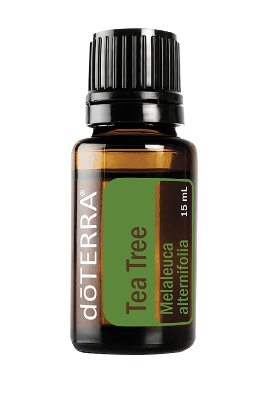 Tea Tree Essential Oil